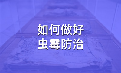 檔案修復(fù)后，如何做好蟲霉防治